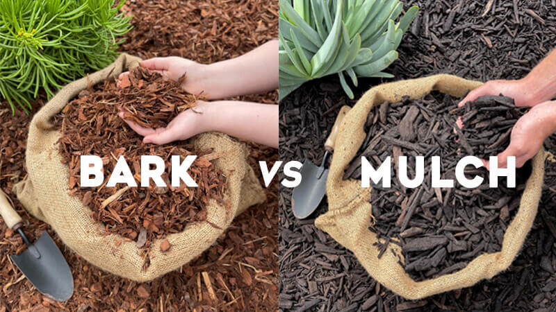 Bark vs Mulch – Pros and Cons